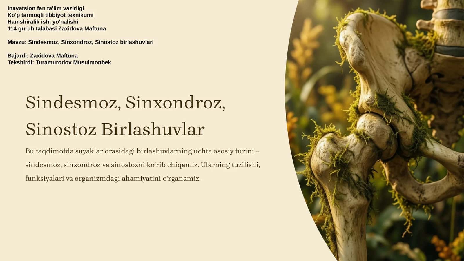 Sindesmoz, Sinxondroz, Sinostoz Birlashuvlar 1