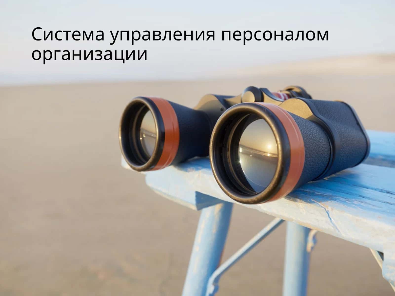 Система управления персоналом организации 1