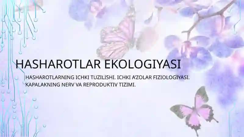 Kapalakning nerv va reproductive tizimi