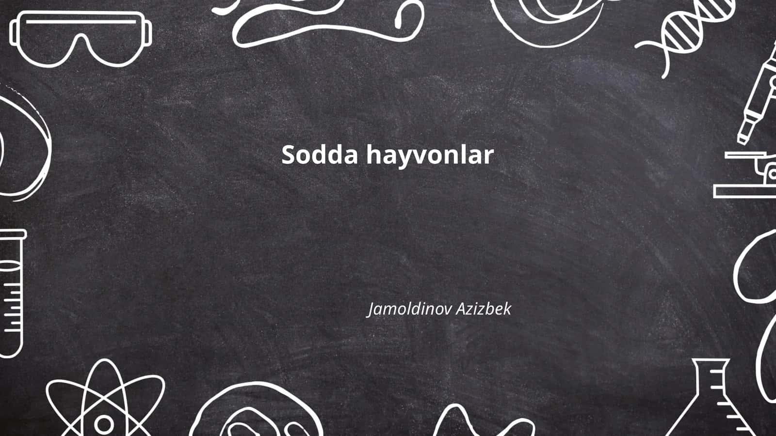 Sodda hayvonlar 1