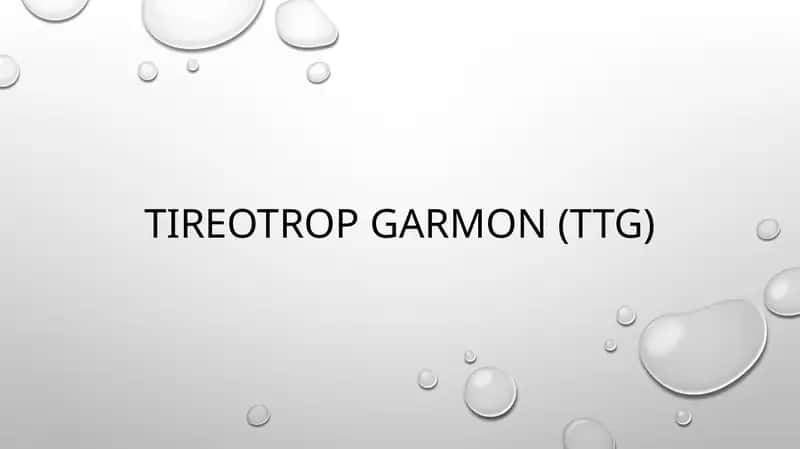 Tireotrop gormon (TTG) 1