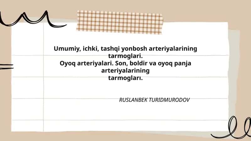 Umumiy, ichki, tashqi yonbosh arteriyalarining tarmoglari 1
