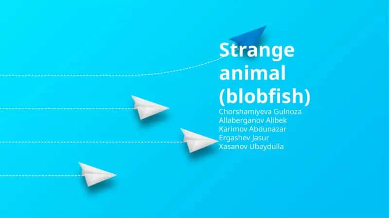 Strange animal (blobfish) 1