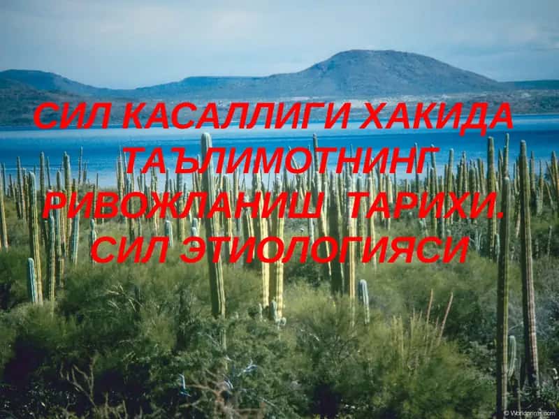 СИЛ КАСАЛЛИГИ ХАКИДА ТАЪЛИМОТНИНГ РИВОЖЛАНИШ ТАРИХИ. СИЛ ЭТИОЛОГИЯСИ