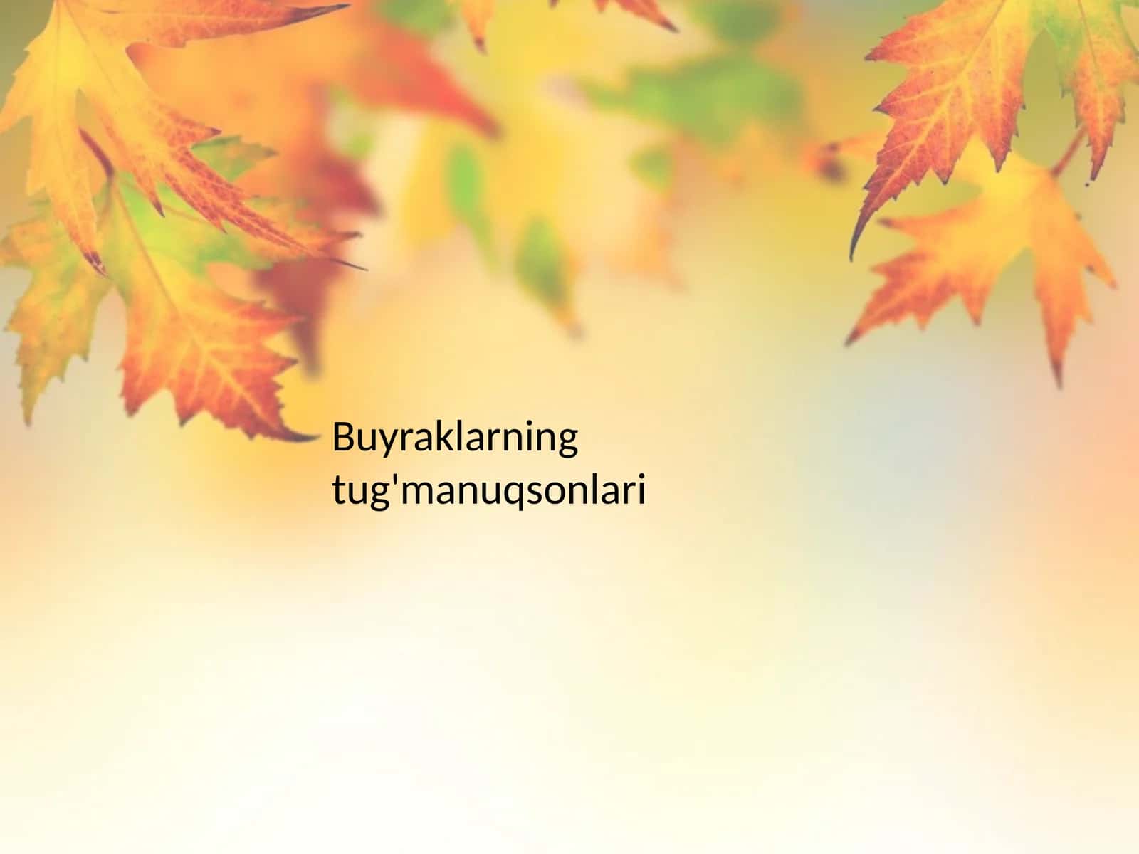 Buyraklarning tug'ma nuqsonlari 1
