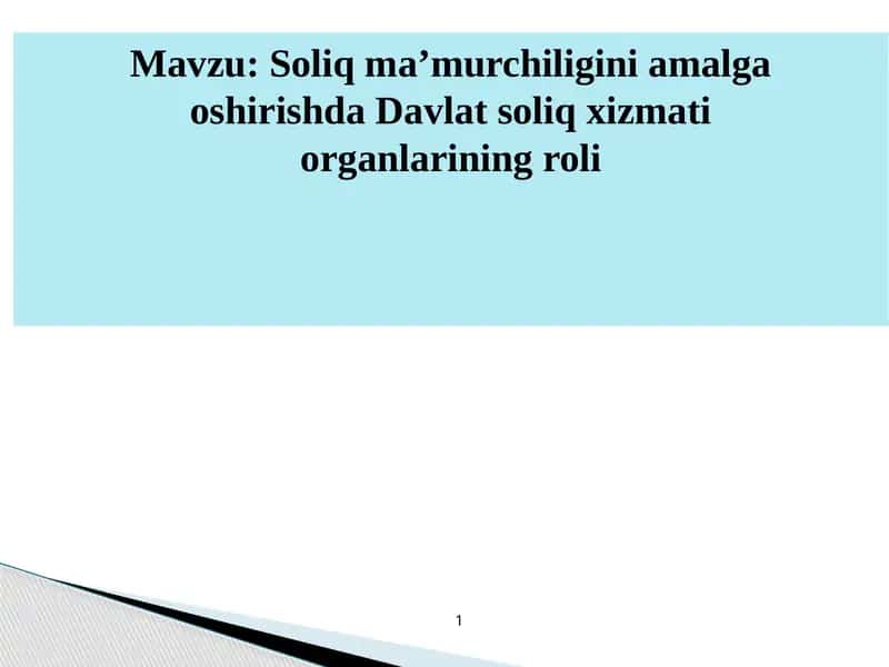 Davlat soliq qoʼmitasi raisi 1