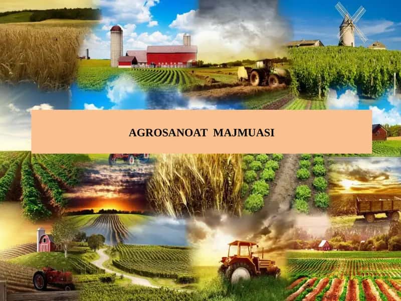 AGROSANOAT MAJMUASI 1