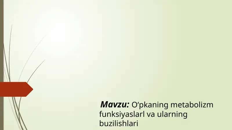 Oʻpkaning metabolizm funksiyalari 1