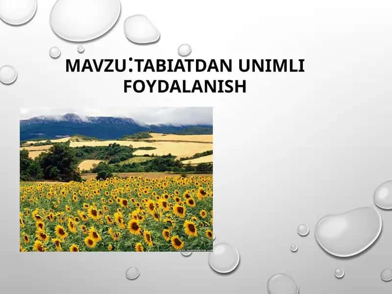TABIATDAN UNIMLI FOYDALANISH 1