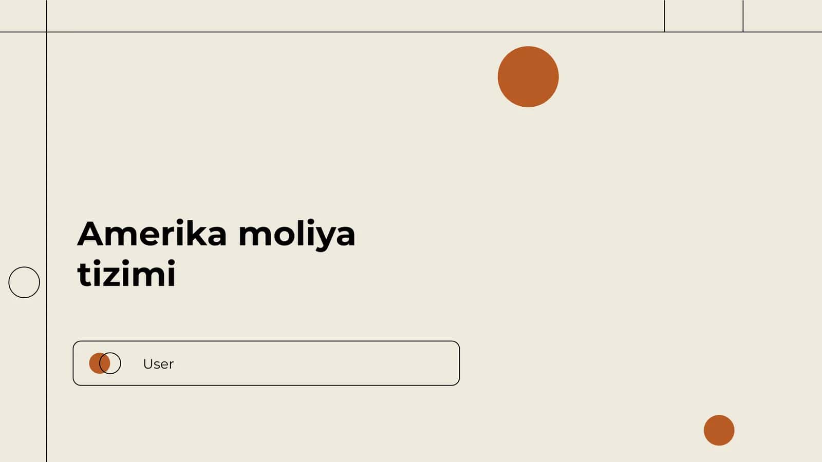 Amerika moliya tizimi 1