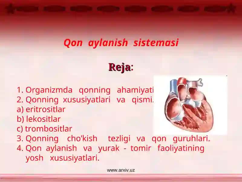 Qon aylanishsistemasi