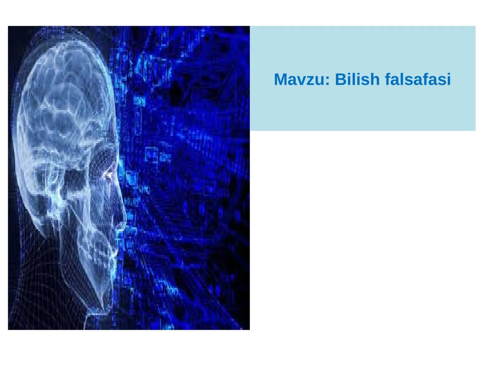 Bilishfalsafasi 1