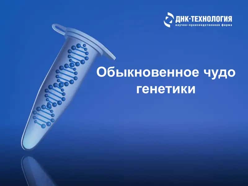 Обыкновенное чудо генетики 1