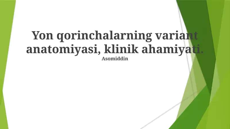 Bachadon bўyni variant anatomiyasi 1