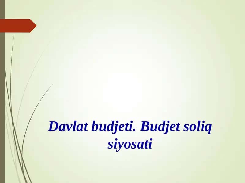 Davlat budjeti. Budjet soliq siyosati 1