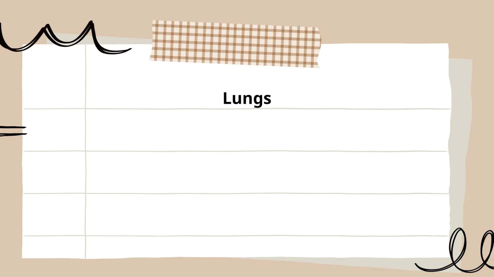 Lungs 1