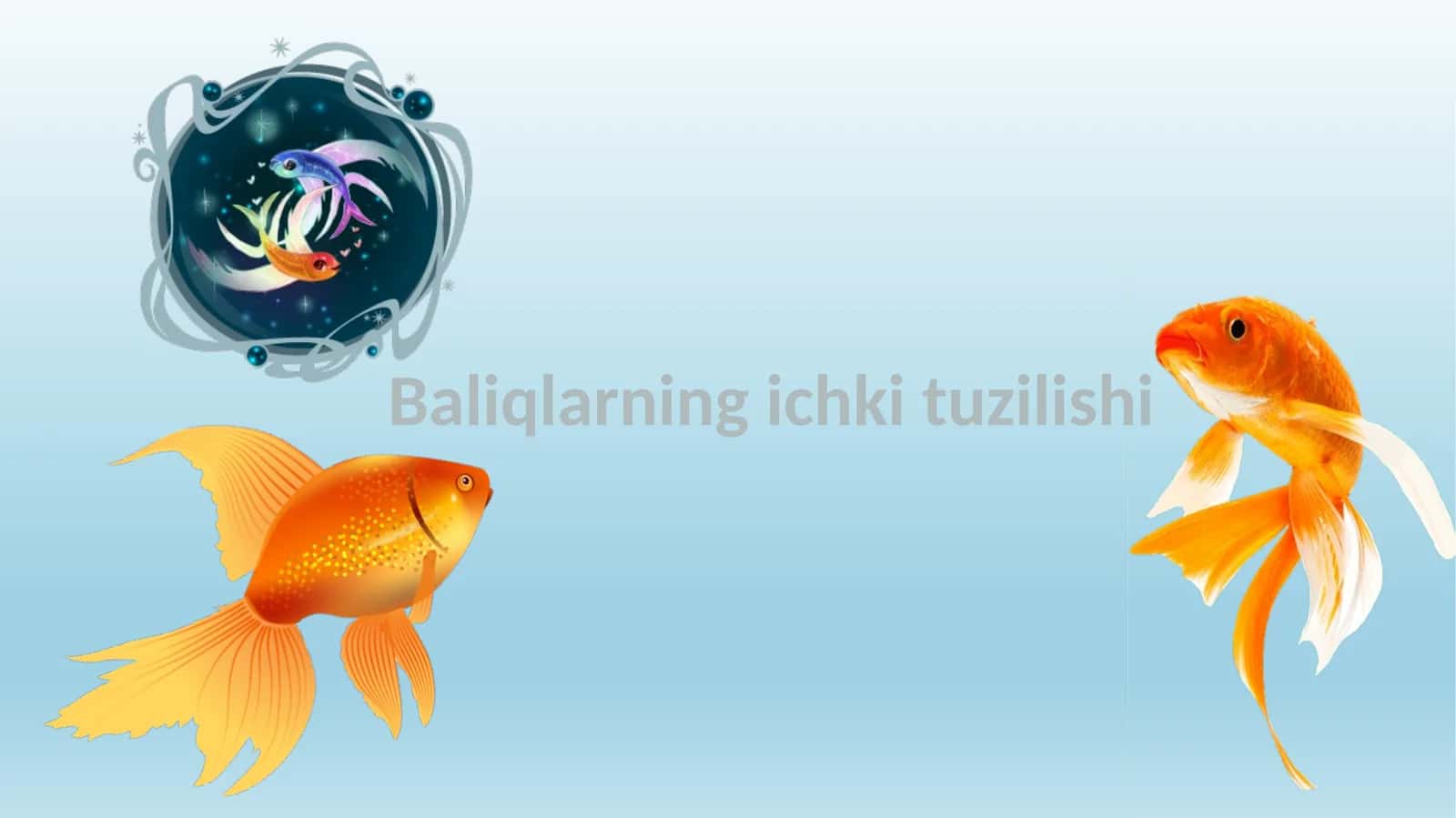 Baliqlarning ichki tuzilishi 1