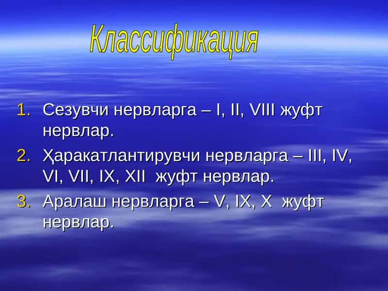 Нервлар 1