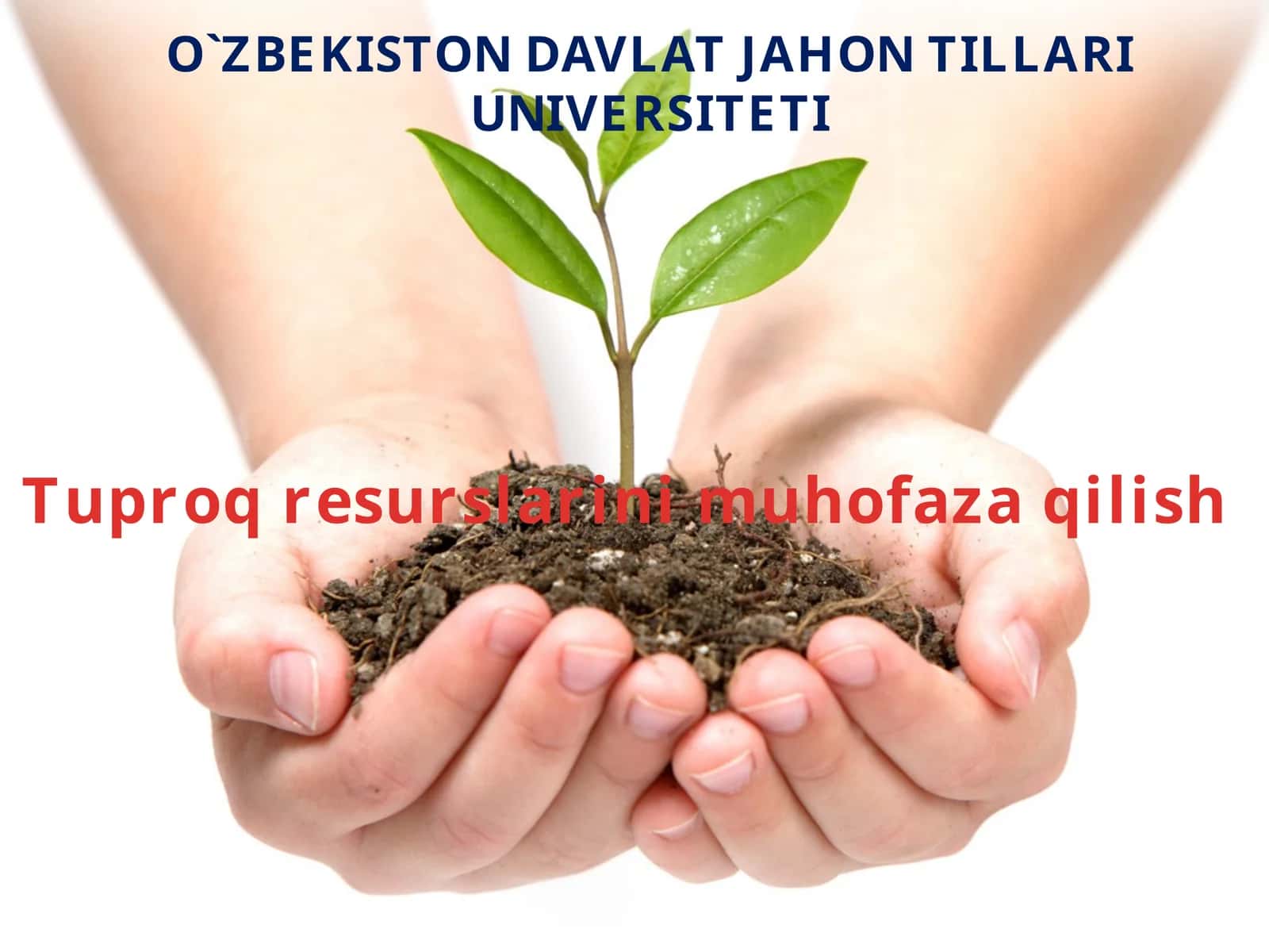 Tuproqresurslarinimuhofazaqilish 1