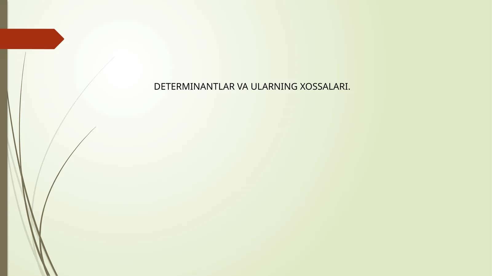DETERMINANTLAR VA ULARNING XOSSALARI 1