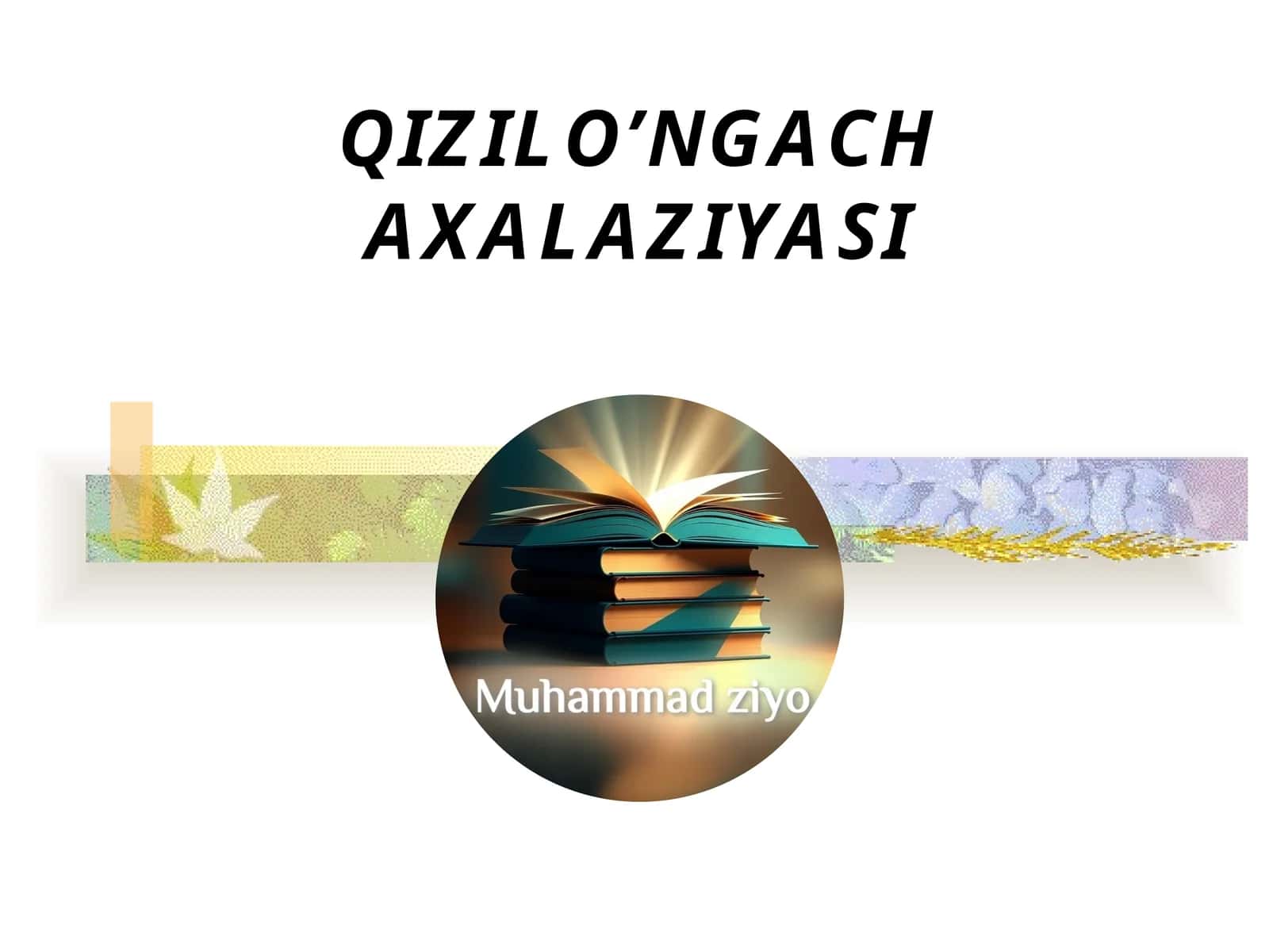 QIZILO’NGACH AXALAZIYASI 1