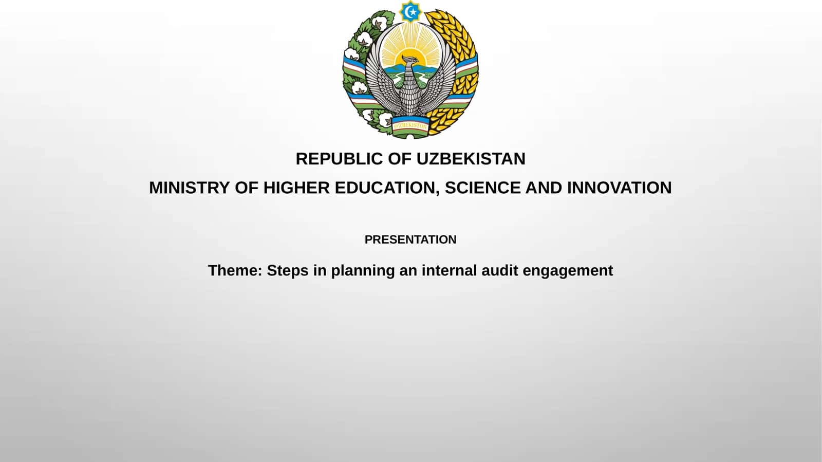 Steps in planning an internal audit engagement 1
