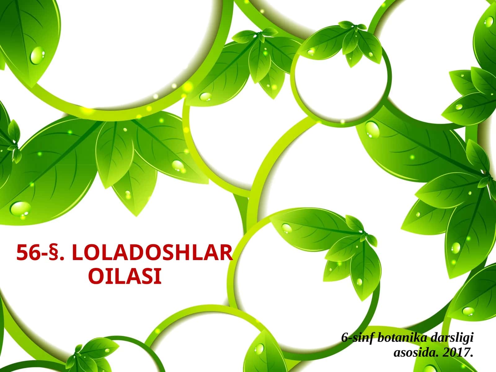 6-sinf Botanika Loladoshlar oilasi 1