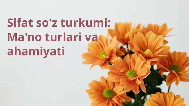 Sifat so'z turkumi: Ma'no turlari va ahamiyati 1