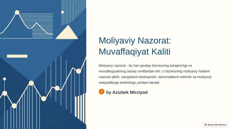 Moliyaviy Nazorat 1