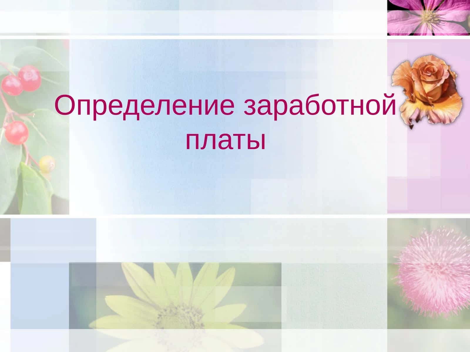 Определение заработной платы 1