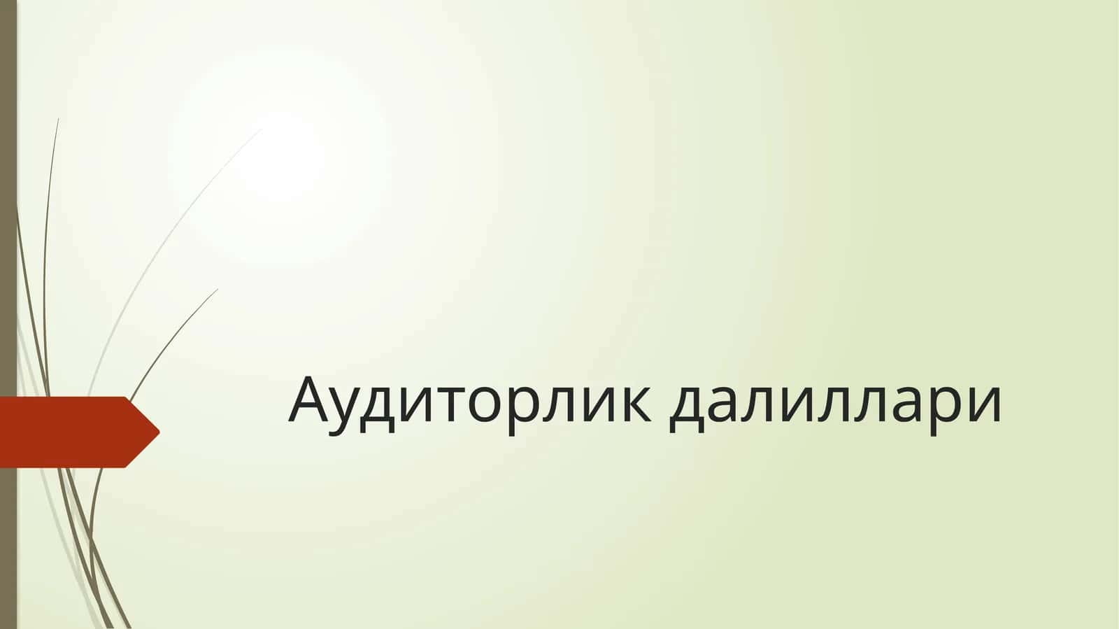 Аудиторлик далиллари 1
