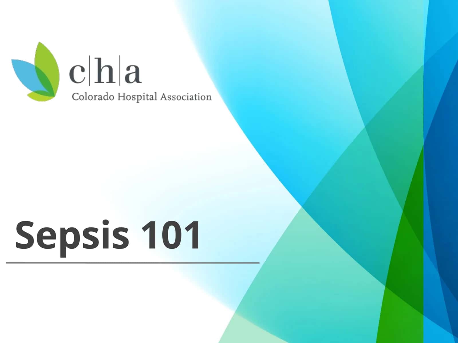 Sepsis 101 1