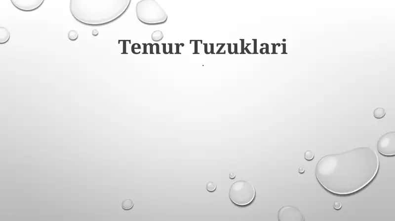 Temur Tuzuklari 1