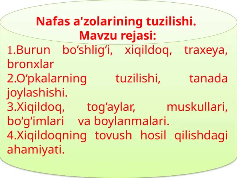 Nafas a'zolarining tuzilishi 1
