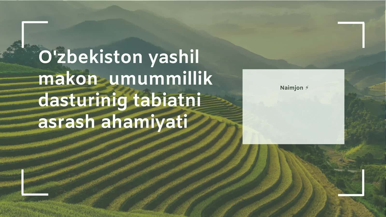 Yashil makonlarning ekologik va ijtimoiy ahamiyati 1