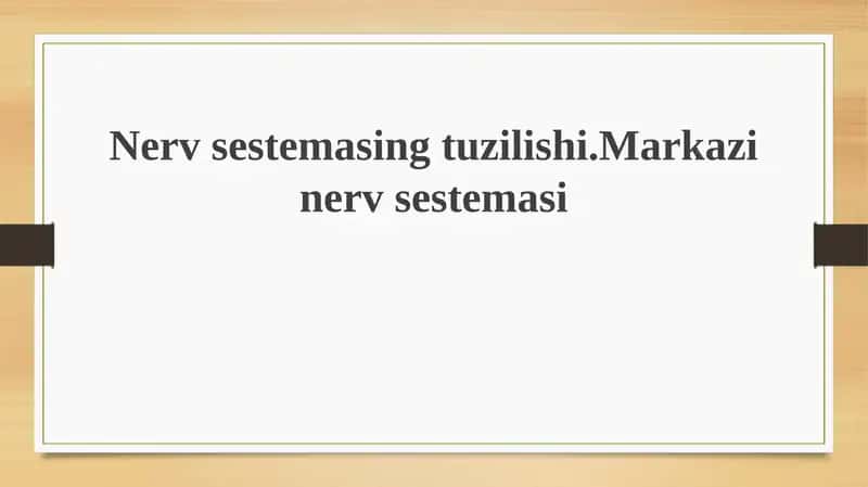 Nerv sistemasi tuzilishi 1