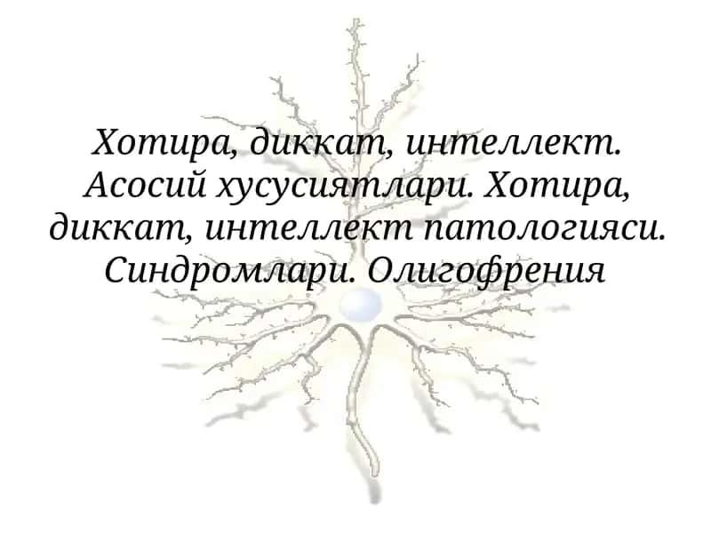 Хотира 1