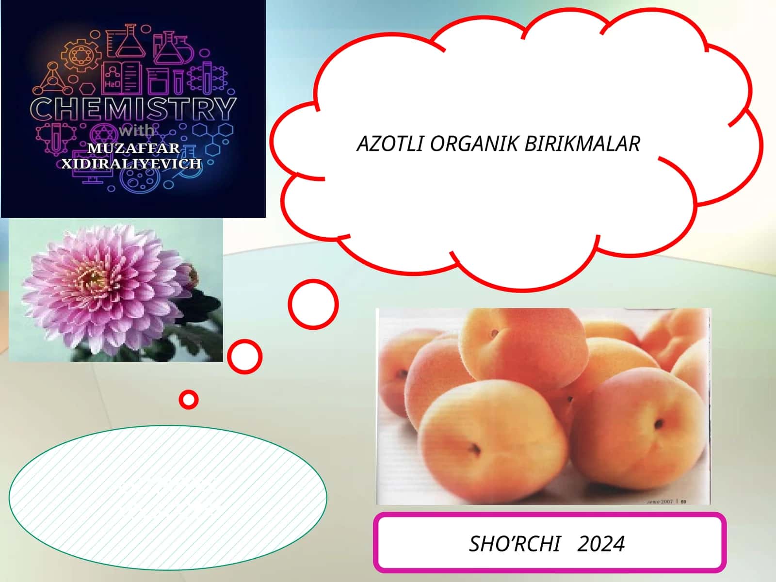 AZOTLI ORGANIK BIRIKMALAR 1
