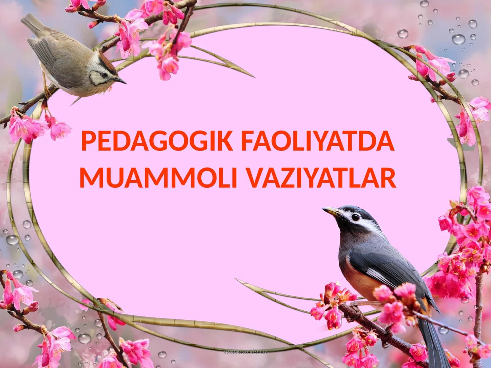 PEDAGOGIK FAOLIYATDA MUAMMOLI VAZIYATLAR 1