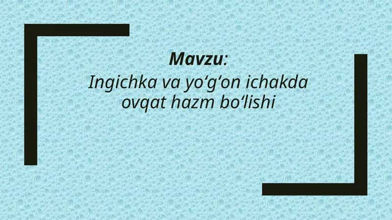 Ingichka va yoʻgʻon ichakda ovqat hazm boʻlishi 1