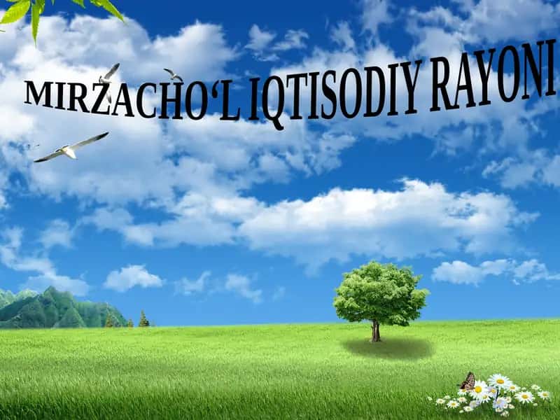 Mirzacho‘l Iqtisodiy Rayoni 1