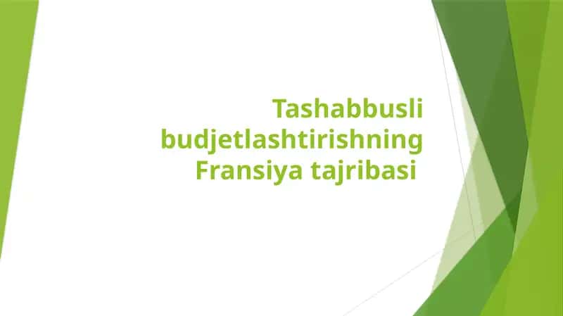 Tashabbusli budjetlashtirishning Fransiya tajribasi 1