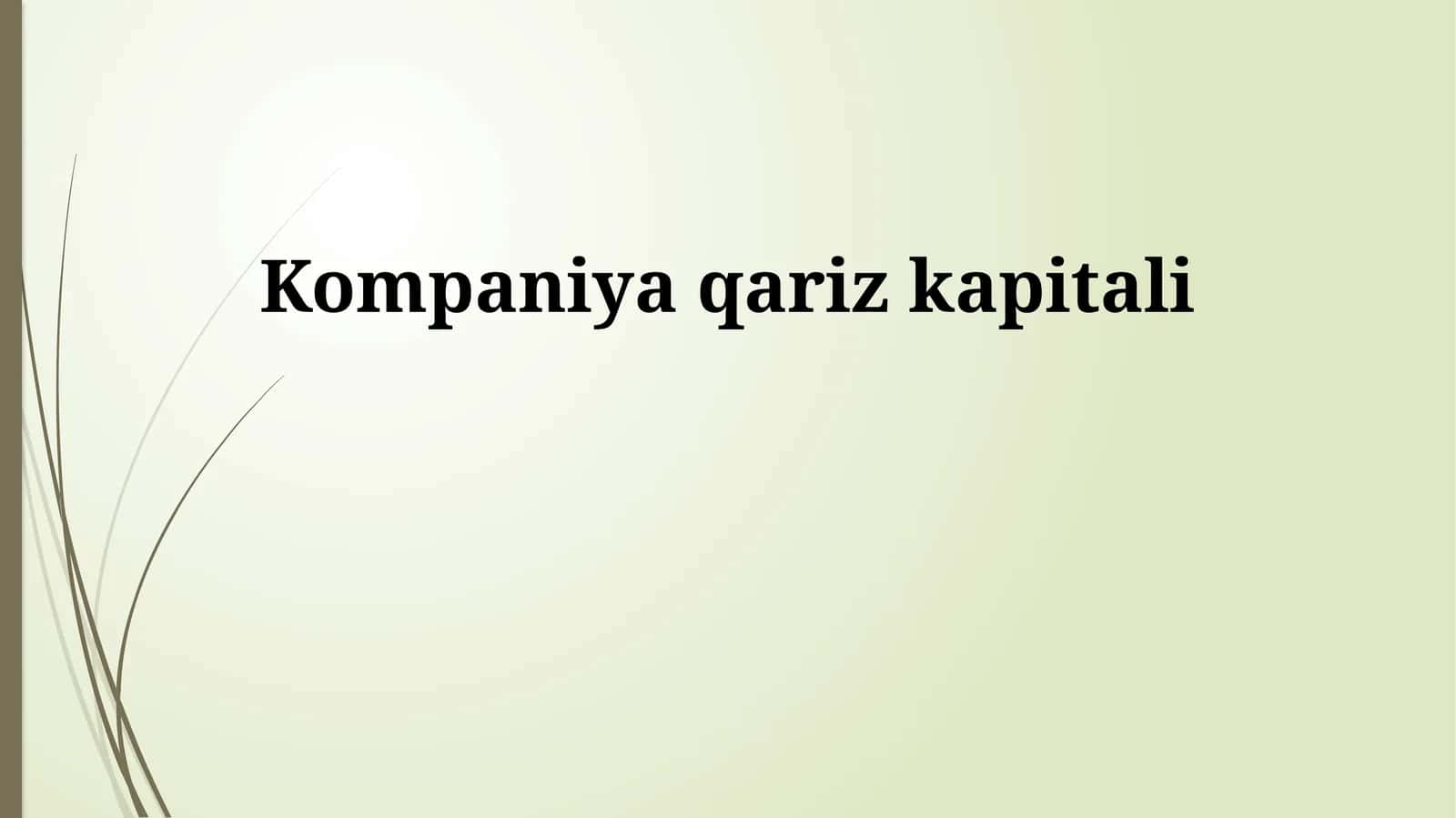Kompaniya qariz kapitali 1