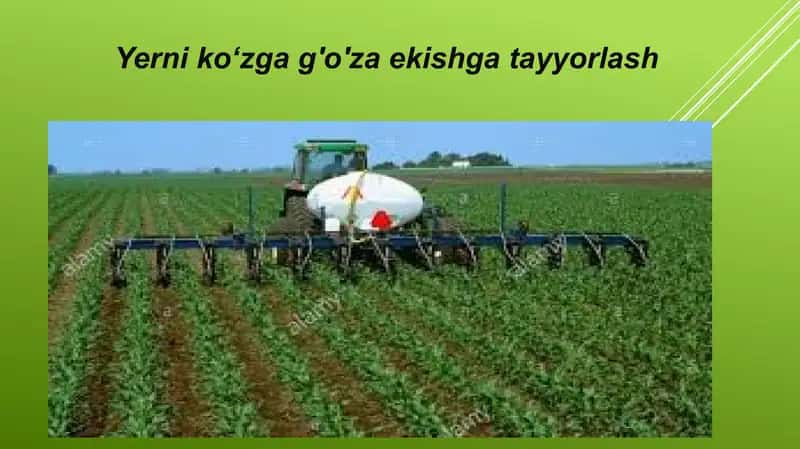 Yerni kuzga bug'doy va g'o'za ekishga tayyorlash 1