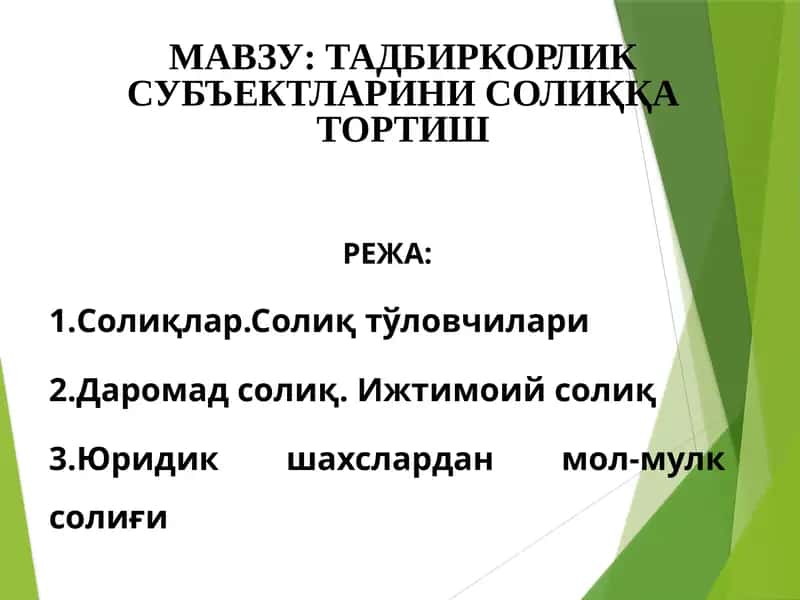 Тадбиркорлик субъектларини солиққатортиш 1