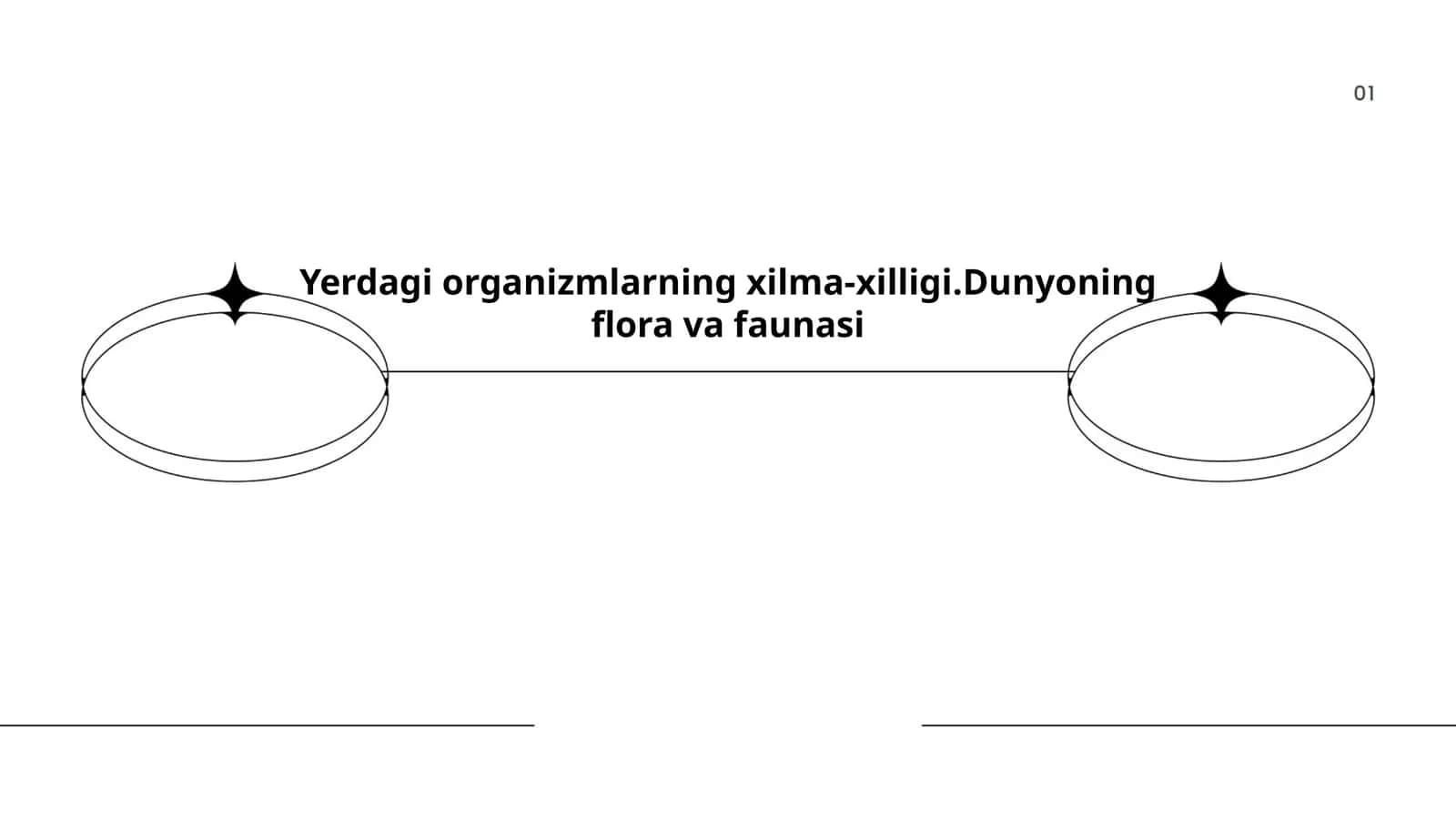 O'simliklar olami: Turlarning xilma-xilligi 1
