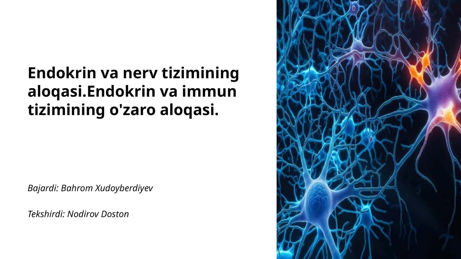 Endokrin va nerv tizimining aloqasi 1