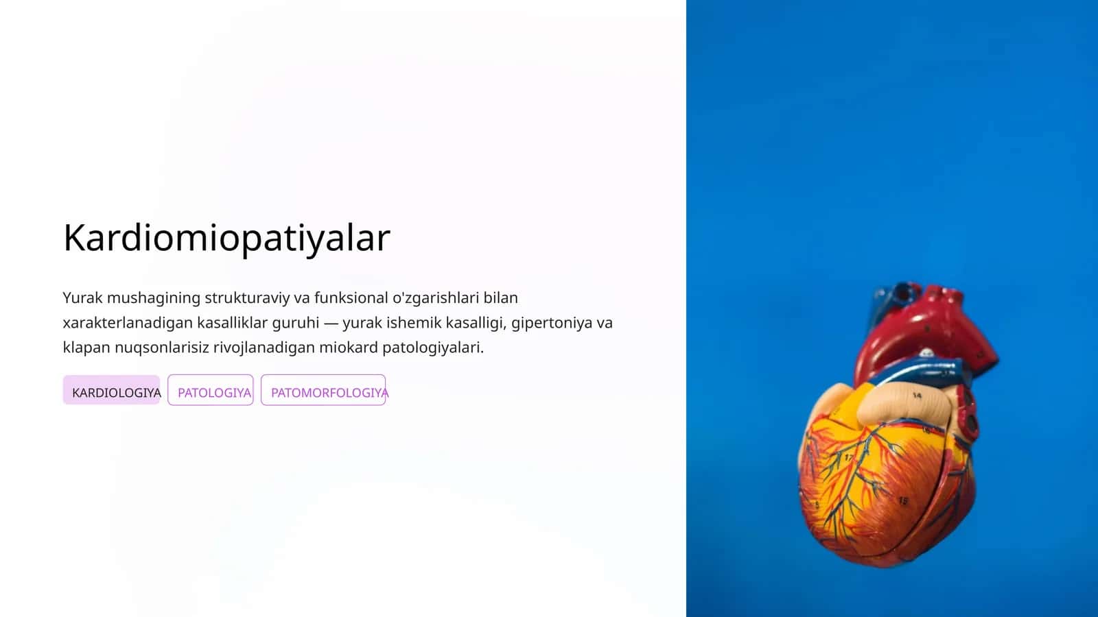 Kardiomiopatiyalar 1