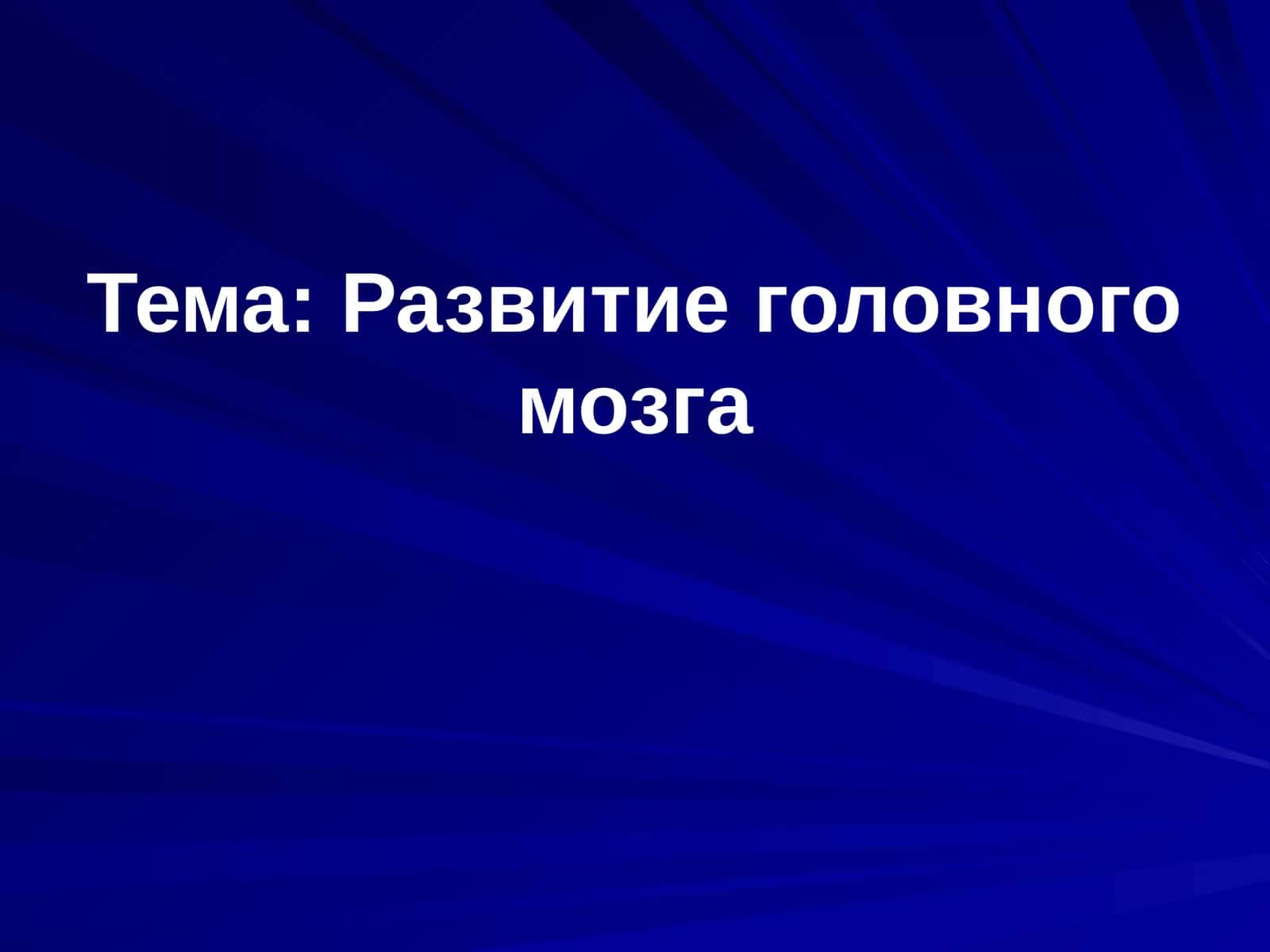 Развитие головного мозга 1