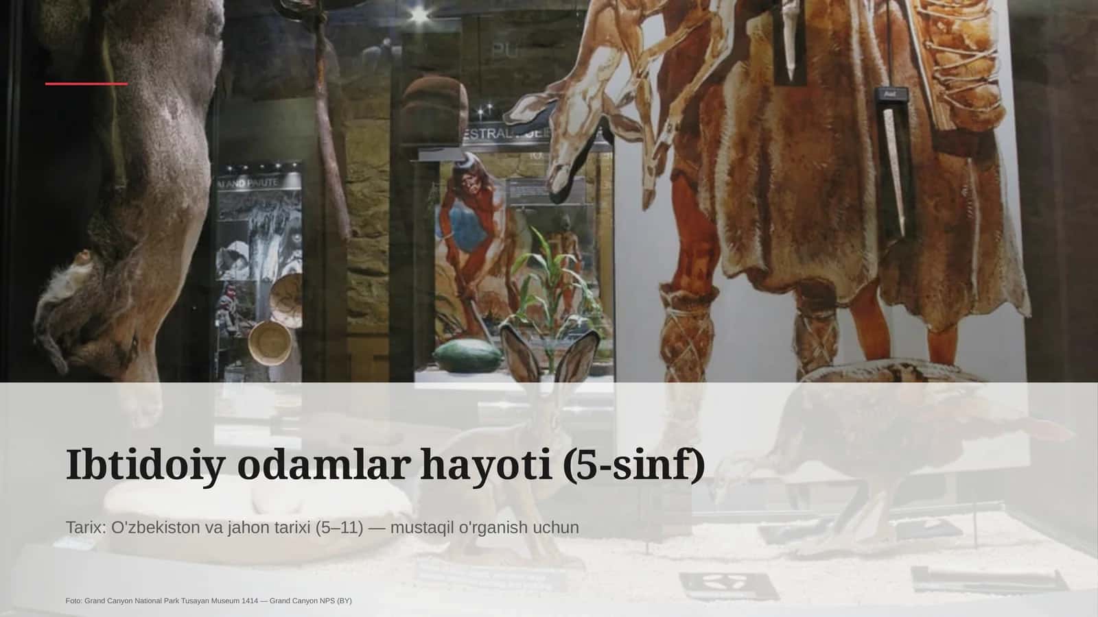Ibtidoiy odamlar hayoti (5-sinf) 1